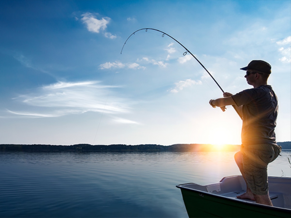 Florokarbon Misinalar: Modern Balıkçılığın Güçlü Yardımcısı