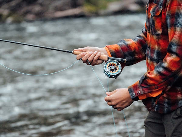 Misina Türleri Nelerdir? Balıkçılıkta Doğru Tercihi Yapmanın Yolları